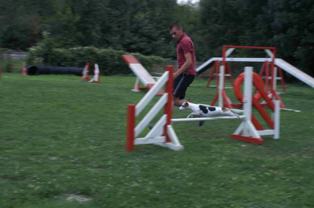 agility 2011-09